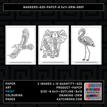MARKERS-Q30-PAPCP-8.5x11-DRW-0009