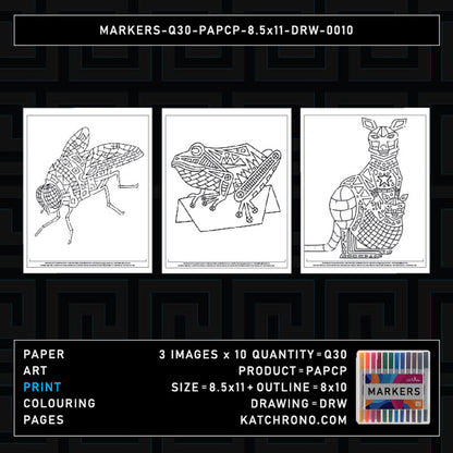 MARKERS-Q30-PAPCP-8.5x11-DRW-0010