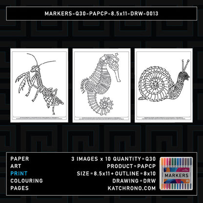 MARKERS-Q30-PAPCP-8.5x11-DRW-0013