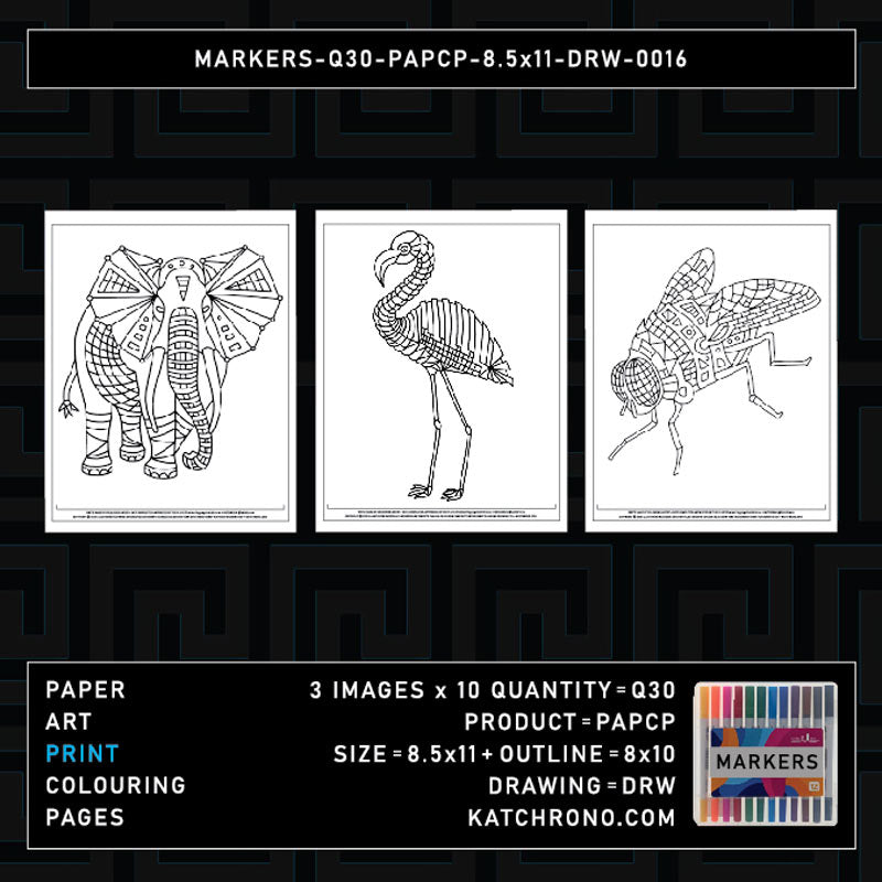 MARKERS-Q30-PAPCP-8.5x11-DRW-0016