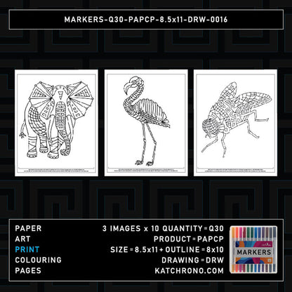 MARKERS-Q30-PAPCP-8.5x11-DRW-0016