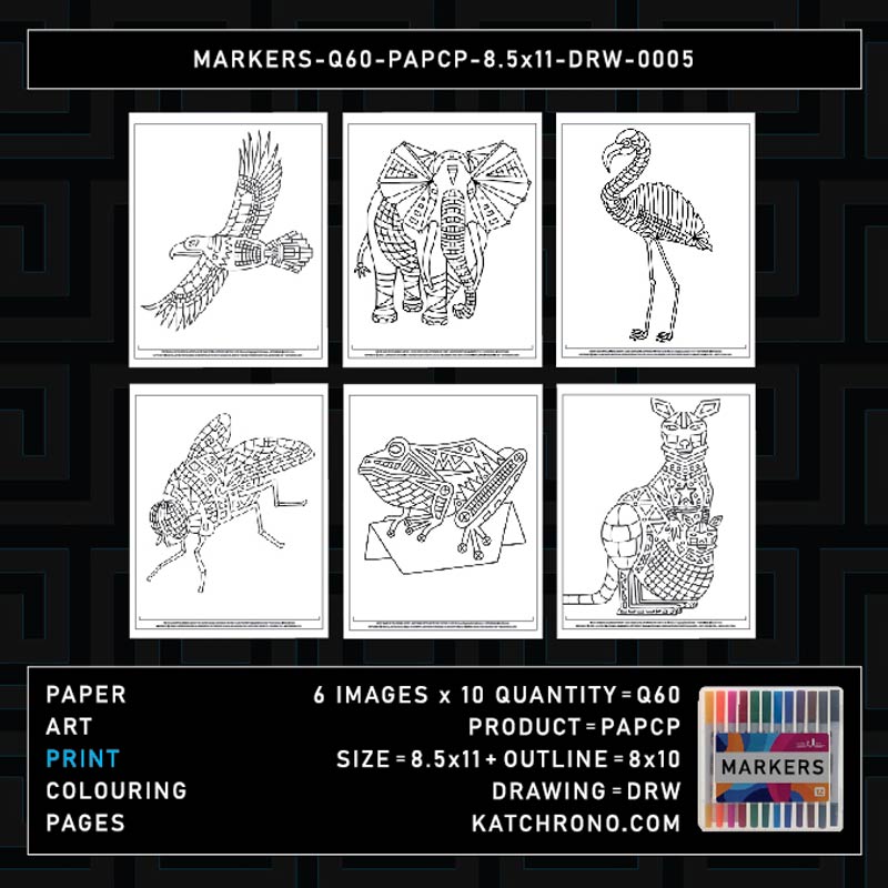 MARKERS-Q60-PAPCP-8.5x11-DRW-0005