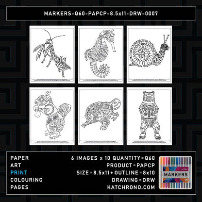 MARKERS-Q60-PAPCP-8.5x11-DRW-0007