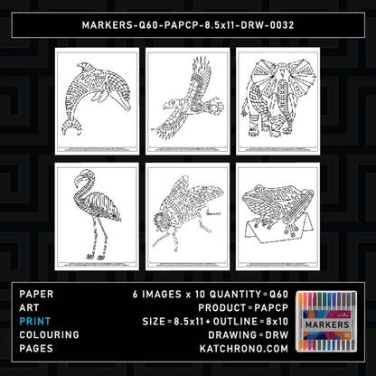 MARKERS-Q60-PAPCP-8.5x11-DRW-0032
