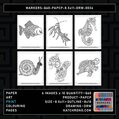 MARKERS-Q60-PAPCP-8.5x11-DRW-0034
