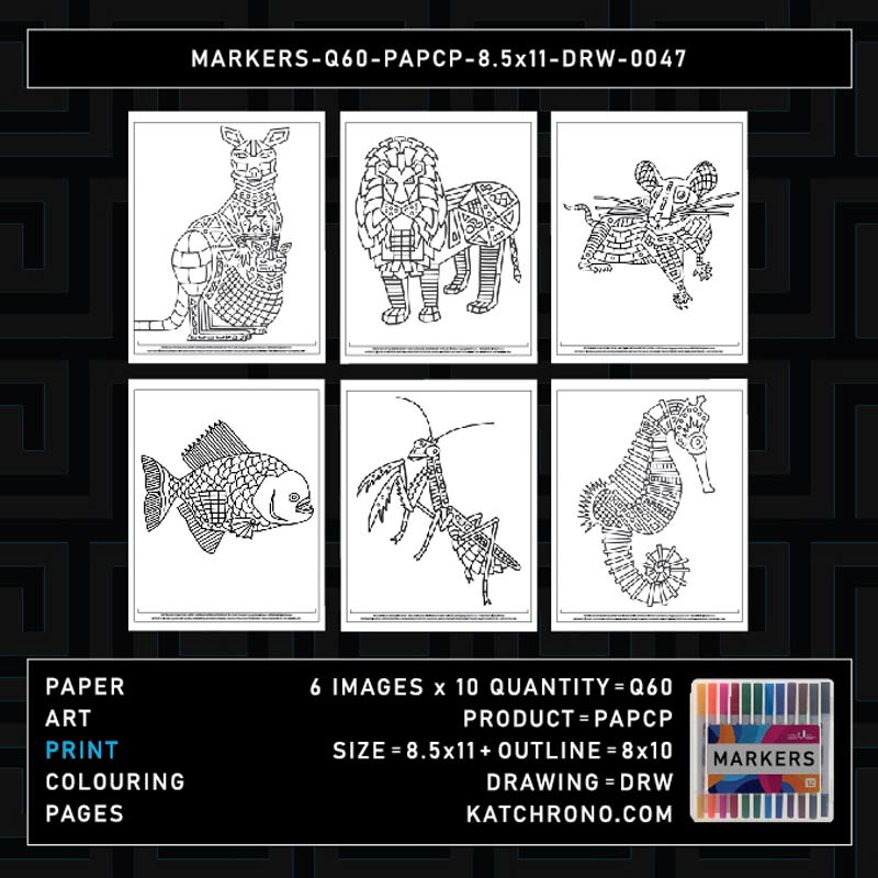 MARKERS-Q60-PAPCP-8.5x11-DRW-0047