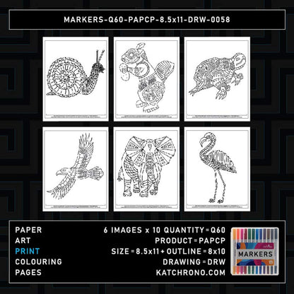 MARKERS-Q60-PAPCP-8.5x11-DRW-0058