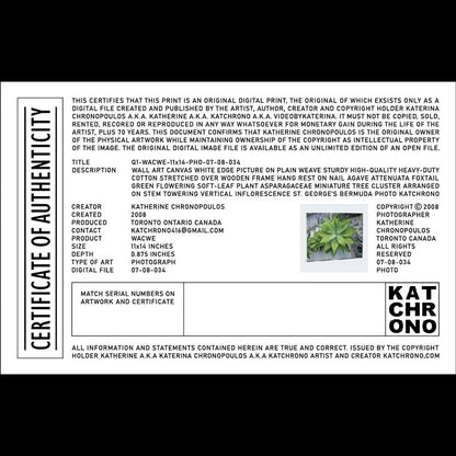 Q1-WACWE-11x14-PHO-07-08-034