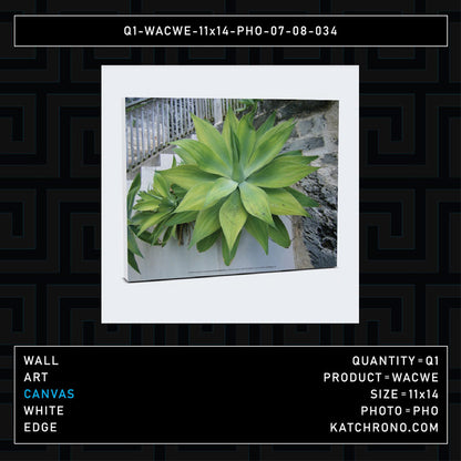 Q1-WACWE-11x14-PHO-07-08-034