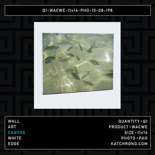 Q1-WACWE-11x14-PHO-10-08-198