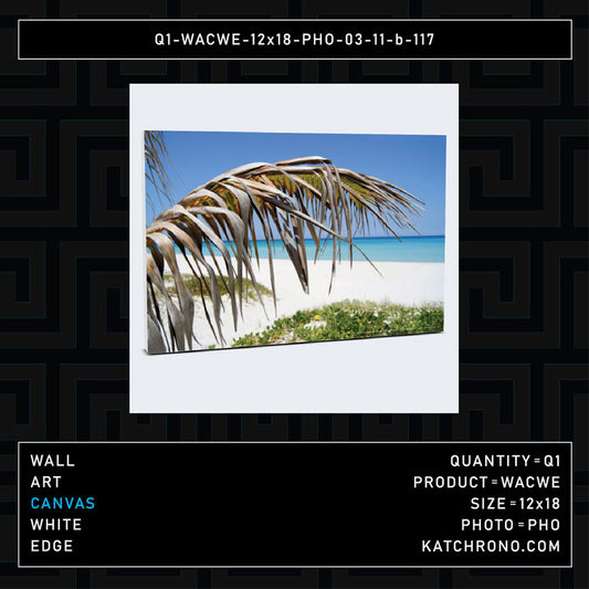 Q1-WACWE-12x18-PHO-03-11-b-117