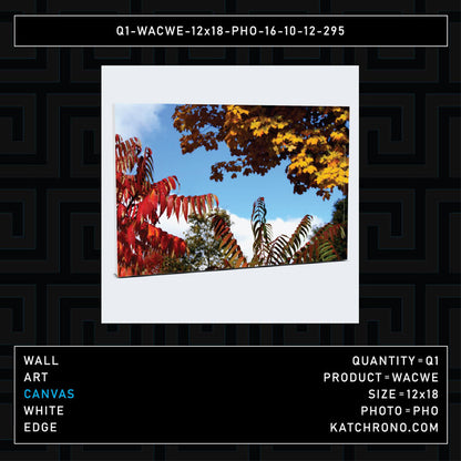 Q1-WACWE-12x18-PHO-16-10-12-295