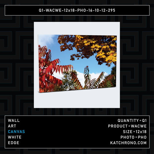 Q1-WACWE-12x18-PHO-16-10-12-295