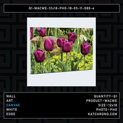 Q1-WACWE-12x18-PHO-18-05-11-080-e