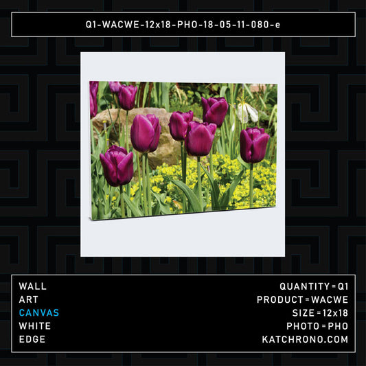 Q1-WACWE-12x18-PHO-18-05-11-080-e