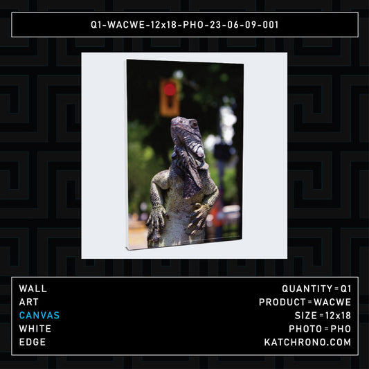 Q1-WACWE-12x18-PHO-23-06-09-001