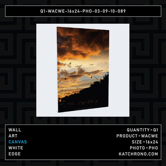 Q1-WACWE-16x24-PHO-03-09-10-089