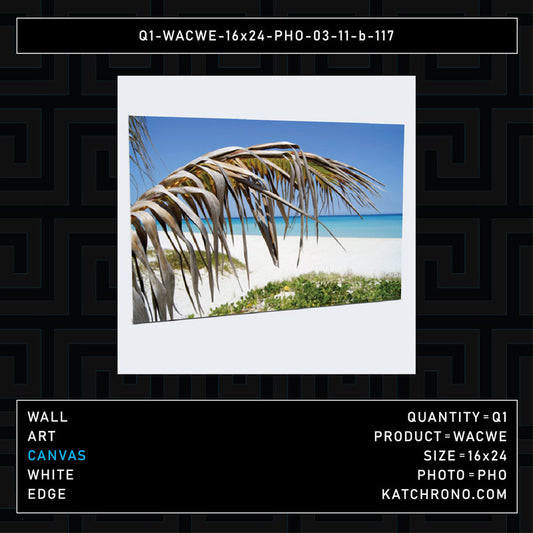 Q1-WACWE-16x24-PHO-03-11-b-117