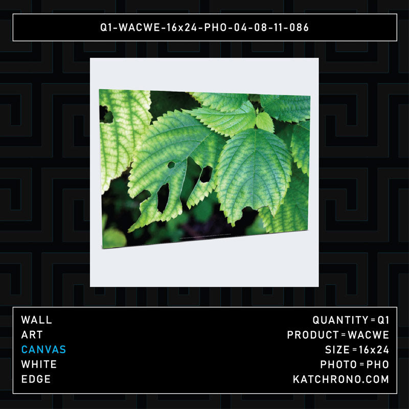 Q1-WACWE-16x24-PHO-04-08-11-086