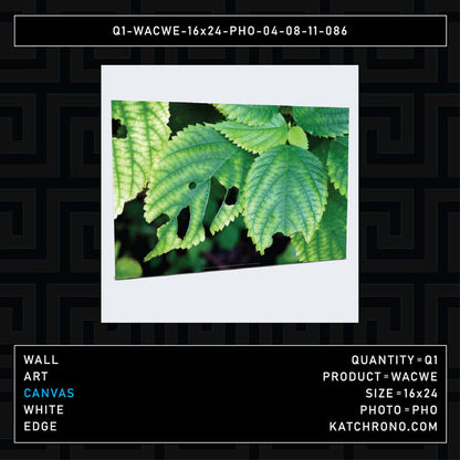 Q1-WACWE-16x24-PHO-04-08-11-086
