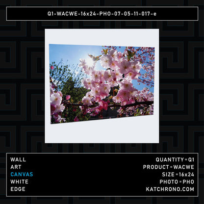 Q1-WACWE-16x24-PHO-07-05-11-017-e