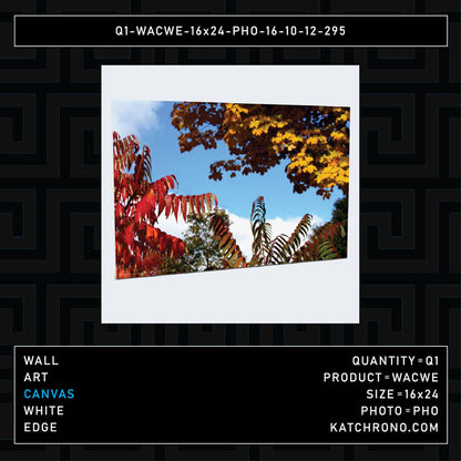Q1-WACWE-16x24-PHO-16-10-12-295