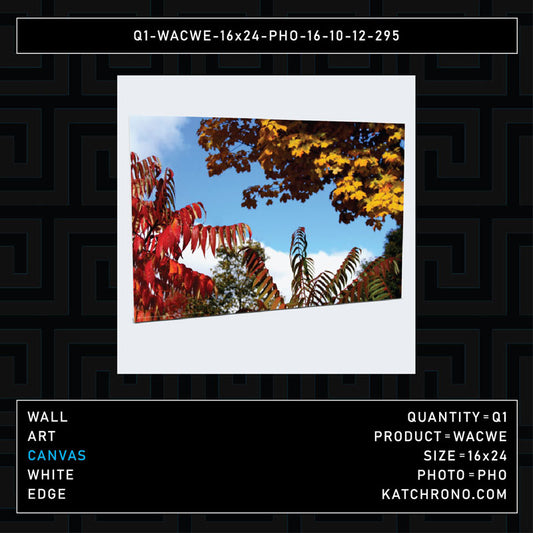 Q1-WACWE-16x24-PHO-16-10-12-295