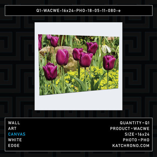 Q1-WACWE-16x24-PHO-18-05-11-080-e