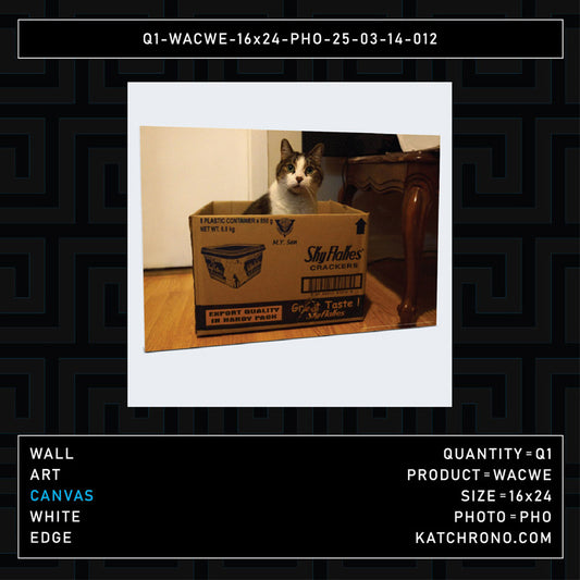 Q1-WACWE-16x24-PHO-25-03-14-012
