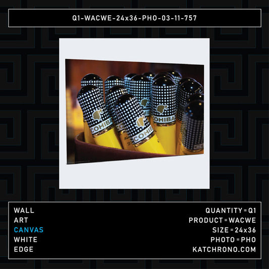 Q1-WACWE-24x36-PHO-03-11-757