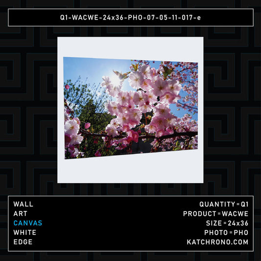 Q1-WACWE-24x36-PHO-07-05-11-017-e