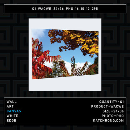 Q1-WACWE-24x36-PHO-16-10-12-295