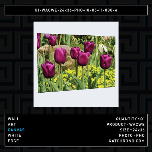Q1-WACWE-24x36-PHO-18-05-11-080-e