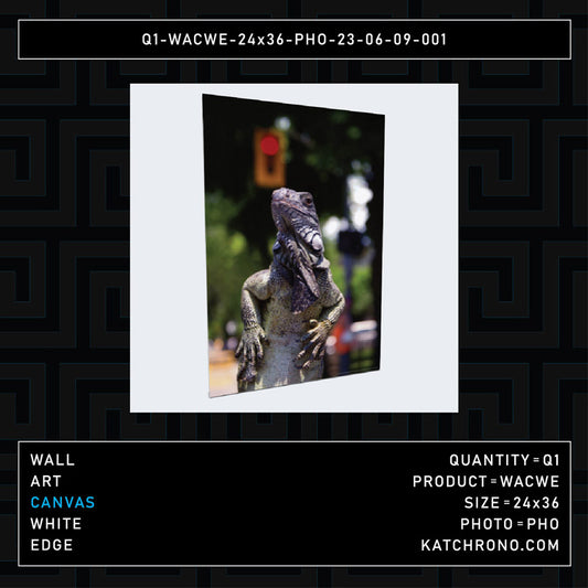 Q1-WACWE-24x36-PHO-23-06-09-001