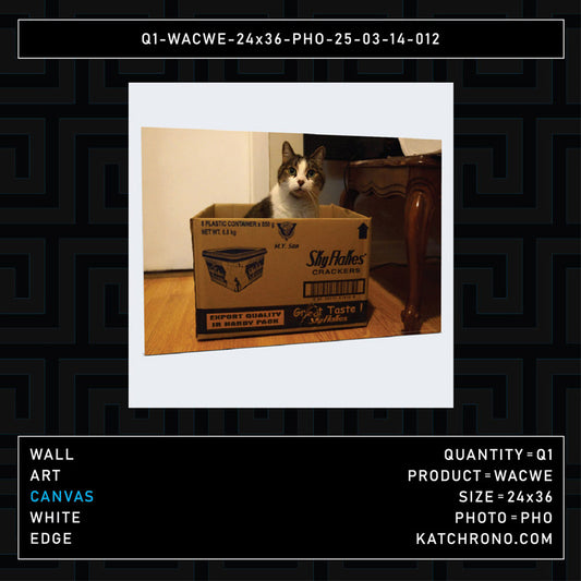 Q1-WACWE-24x36-PHO-25-03-14-012