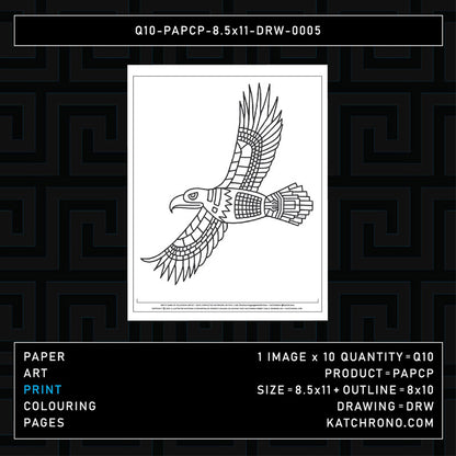 Q10-PAPCP-8.5x11-DRW-0005