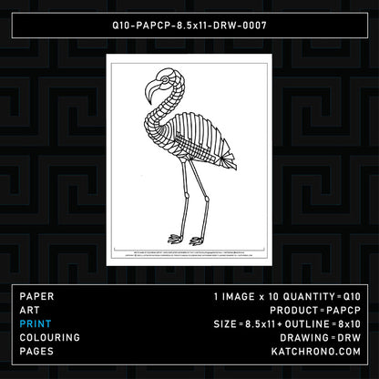 Q10-PAPCP-8.5x11-DRW-0007