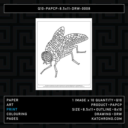 Q10-PAPCP-8.5x11-DRW-0008