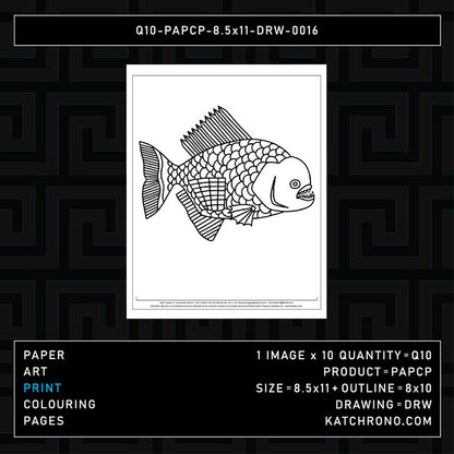 Q10-PAPCP-8.5x11-DRW-0016