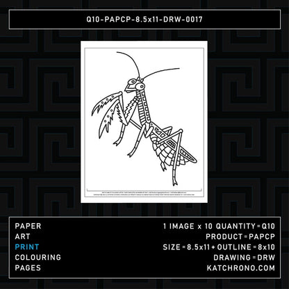 Q10-PAPCP-8.5x11-DRW-0017