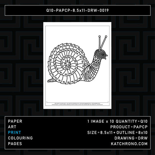 Q10-PAPCP-8.5x11-DRW-0019
