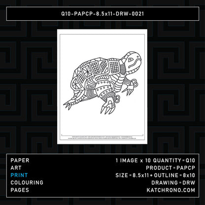 Q10-PAPCP-8.5x11-DRW-0021