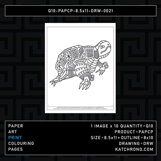 Q10-PAPCP-8.5x11-DRW-0021