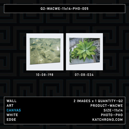 Q2-WACWE-11x14-PHO-005
