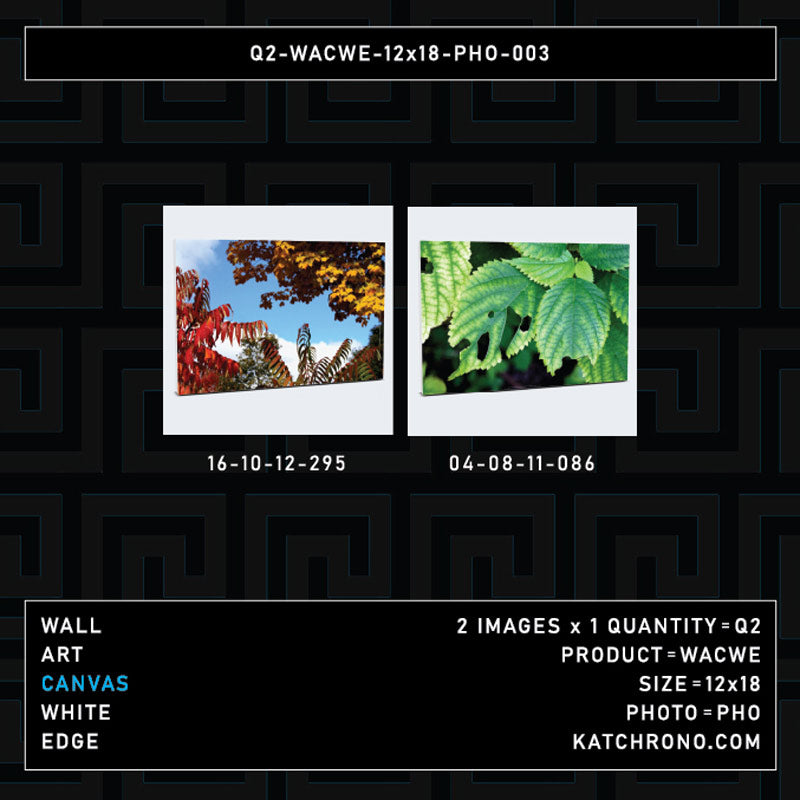 Q2-WACWE-12x18-PHO-003