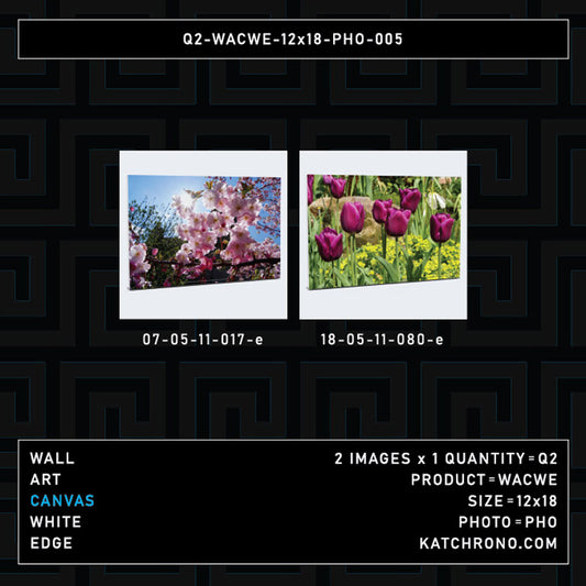 Q2-WACWE-12x18-PHO-005