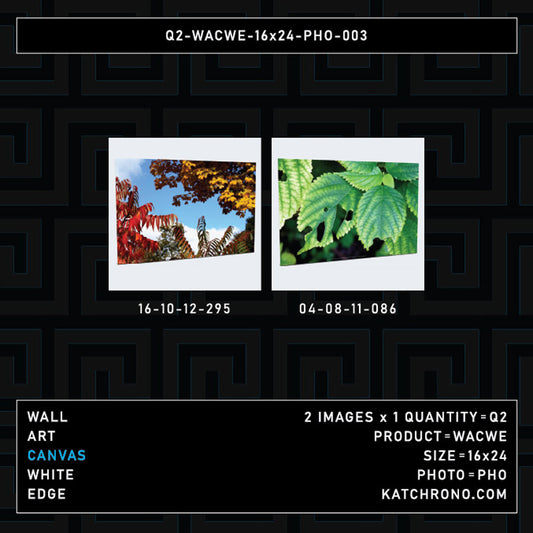 Q2-WACWE-16x24-PHO-003