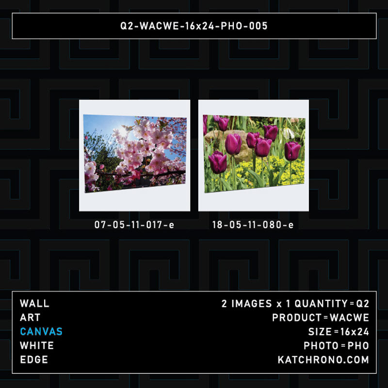 Q2-WACWE-16x24-PHO-005