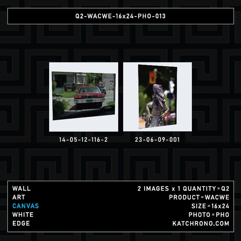 Q2-WACWE-16x24-PHO-013