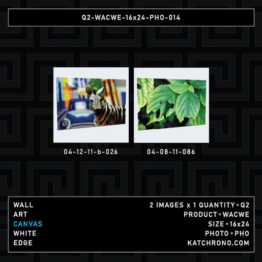 Q2-WACWE-16x24-PHO-014